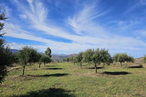 Villa i Collesano, Palermo, Collesano - € 95.000 | Ref: 10518 - foto 9